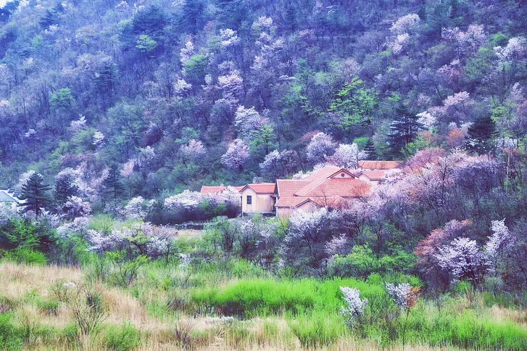 浙江十大徒步古道图片,浙皖十大古道景点介绍图