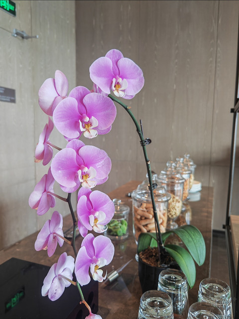 湖景套,单台盆,小浴缸,中式园林度假酒店—无锡蠡湖万豪