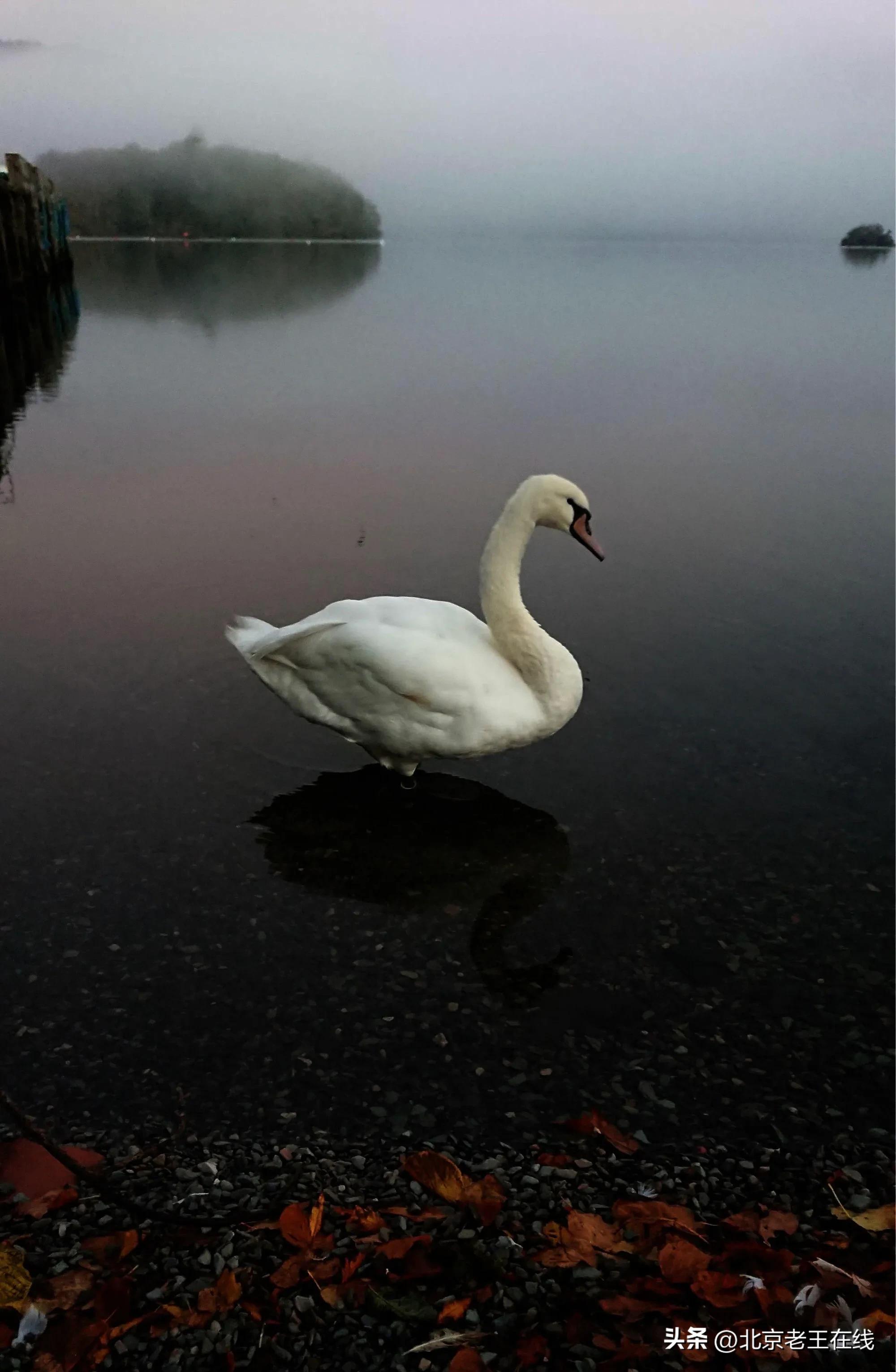 换一种方式去旅行的作文,换一种方式去旅行英文版