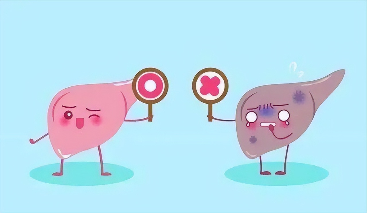 慢性肝病药膳,豫健中医