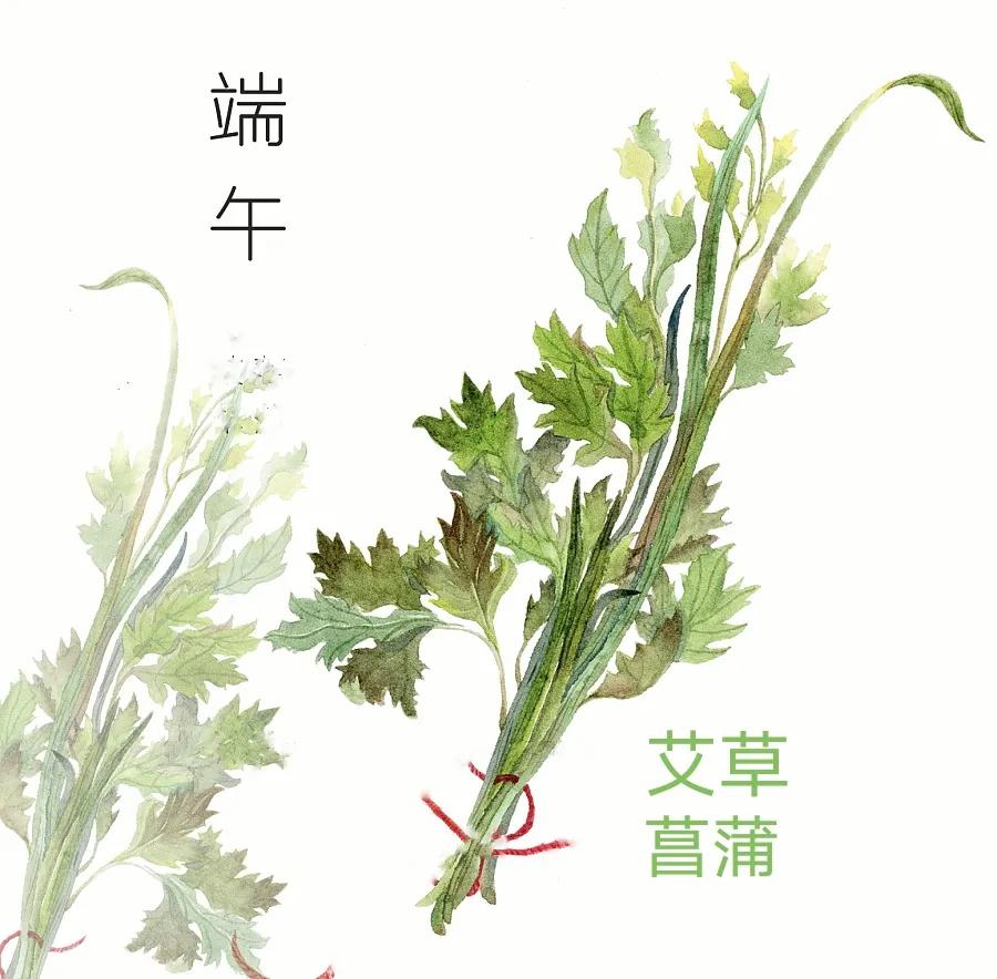 狡猾的动物,狡猾的动物生肖