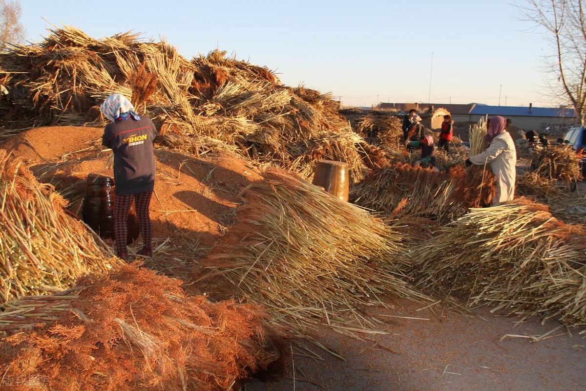 农民收入调查报告,国家统计局公布农村人均收入排行