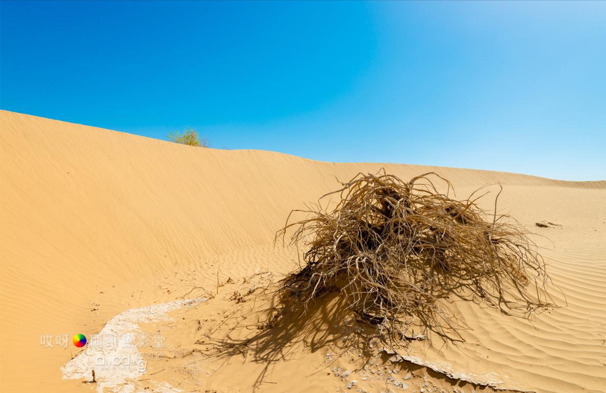 女司机带娃去新疆自驾游,带着女司机自驾游兰州