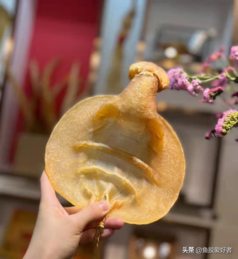 鱼胶颜色越深越老吗,鱼胶是不是年份越久越好呢