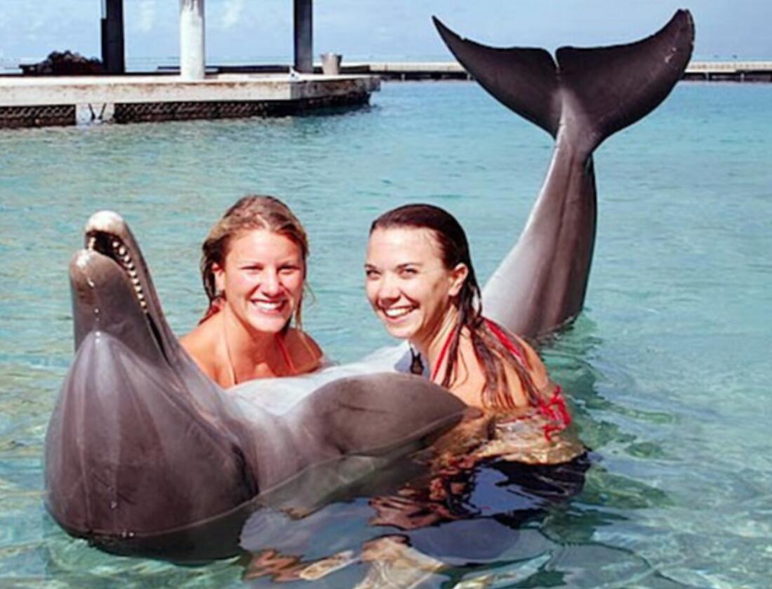 偷猎动物有多残忍,动物也会外遇