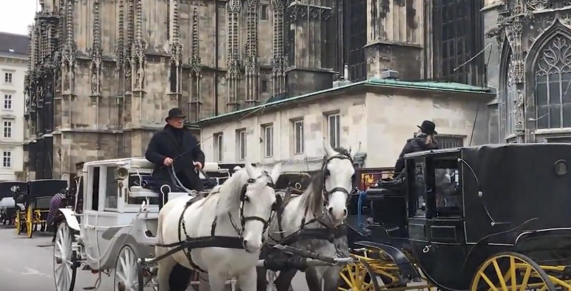 唐嫣用万元手机壳引巨大争议,唐嫣用4万块钱买一个手机壳