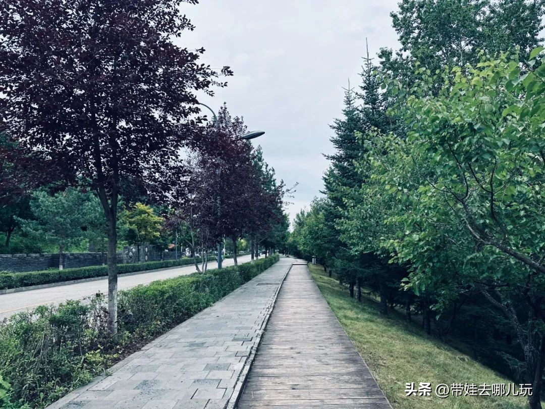 长白山二道白河旅游攻略7月游,自驾二道白河长白山旅游攻略