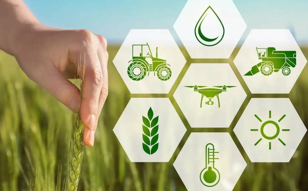 好样的!马云带科技回国,国内民营科技企业“摩拳擦掌”