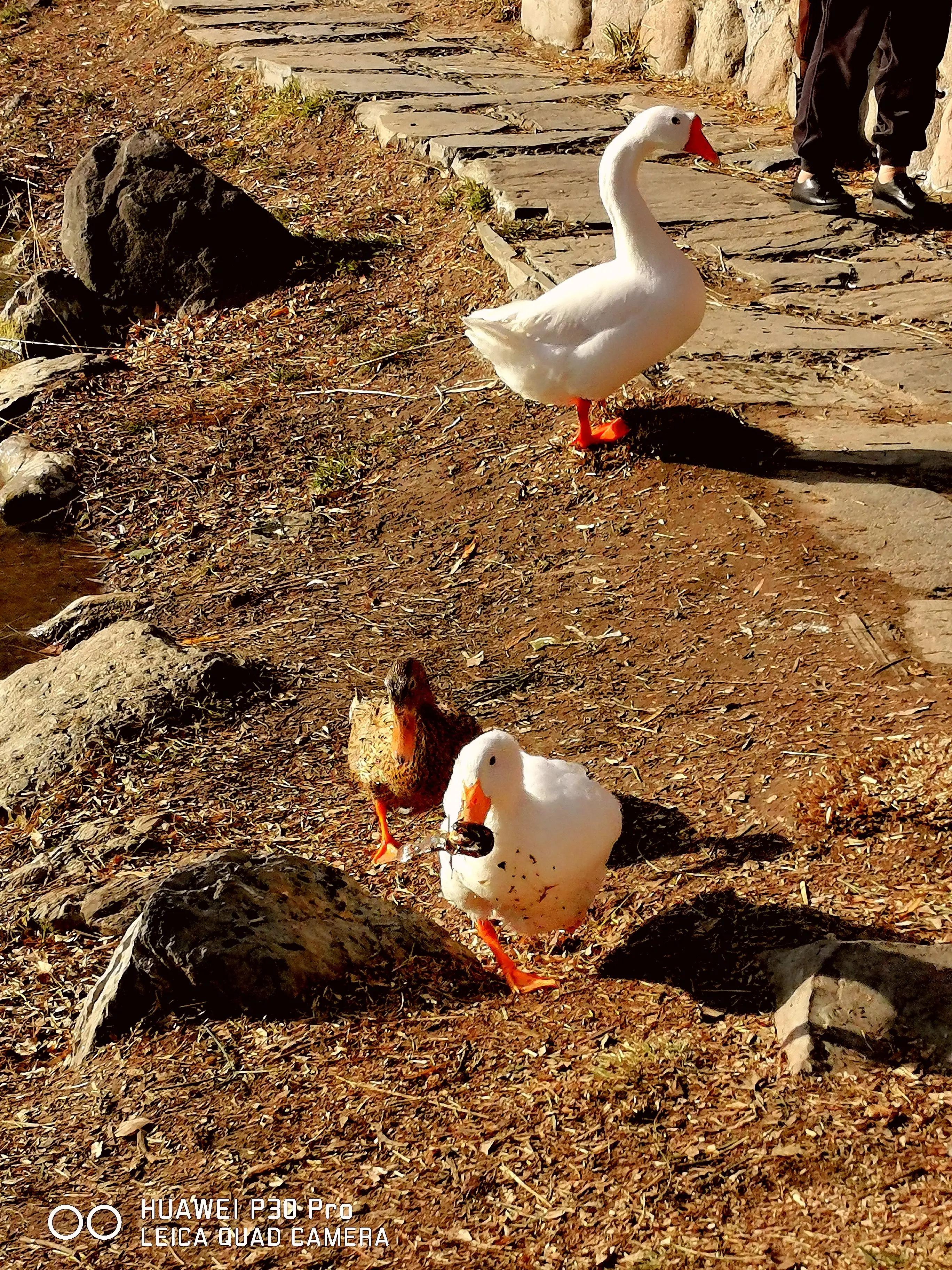 感觉如何产生,感觉如何解释