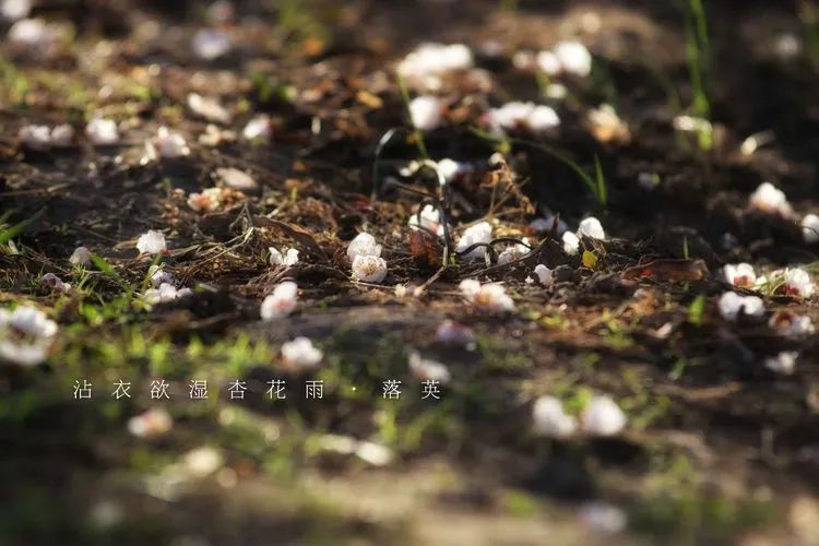 滦州古城都有哪些特色美景,滦州古城江南