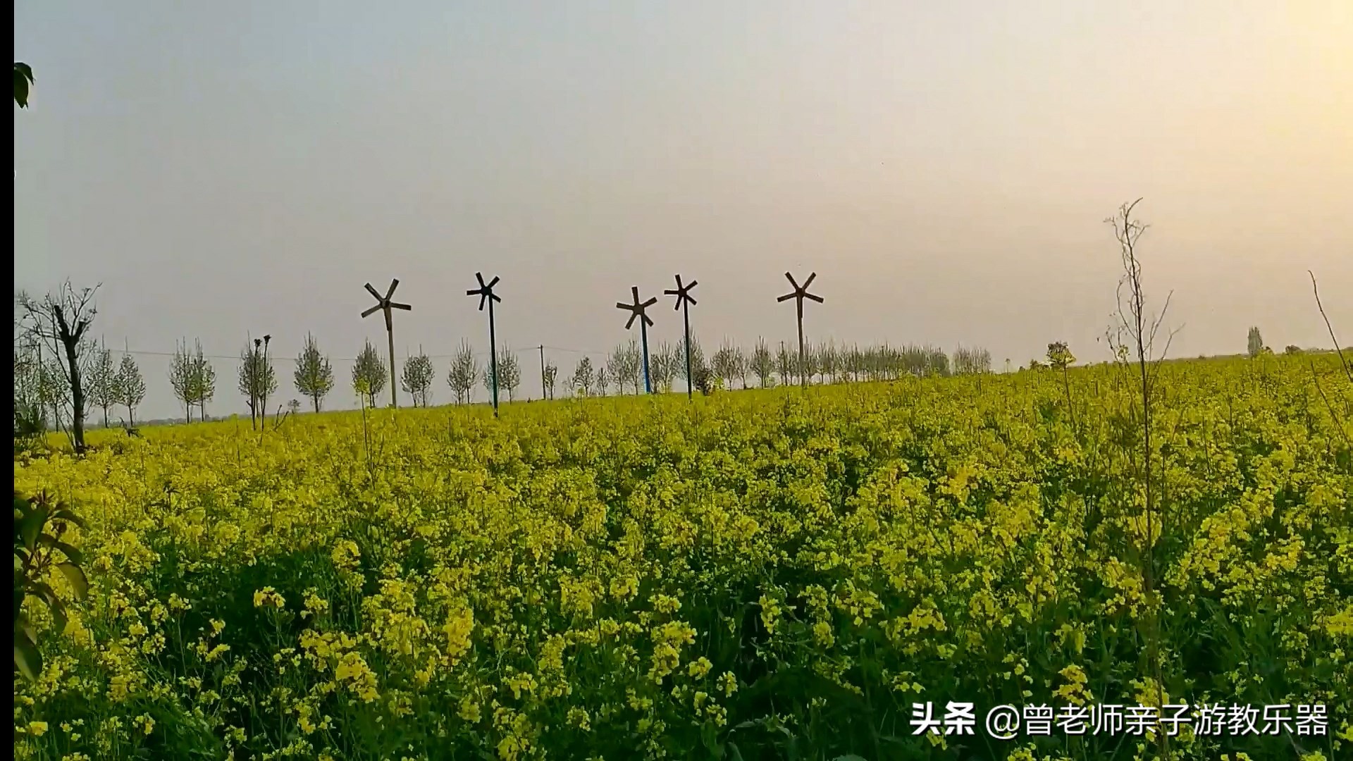 2022西安遛娃一日游的绝佳去处,2022年春节西安遛娃去哪玩最合适