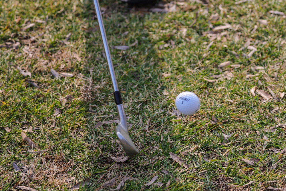 佳能canoneosr3测评,佳能eosr3震撼登场