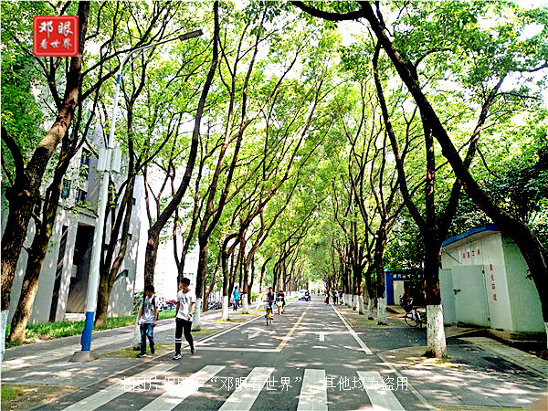 985武汉大学华中科技大学,武汉大学对比浙大