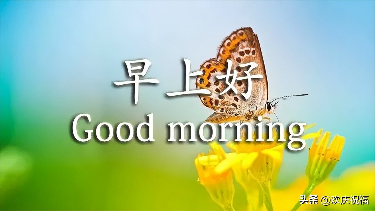 友情问候语早上好图片大全,早上好祝福语图片优美表情