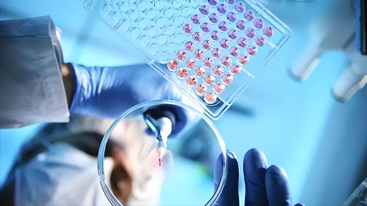 science子刊投稿,糖尿病胰岛移植最新进展