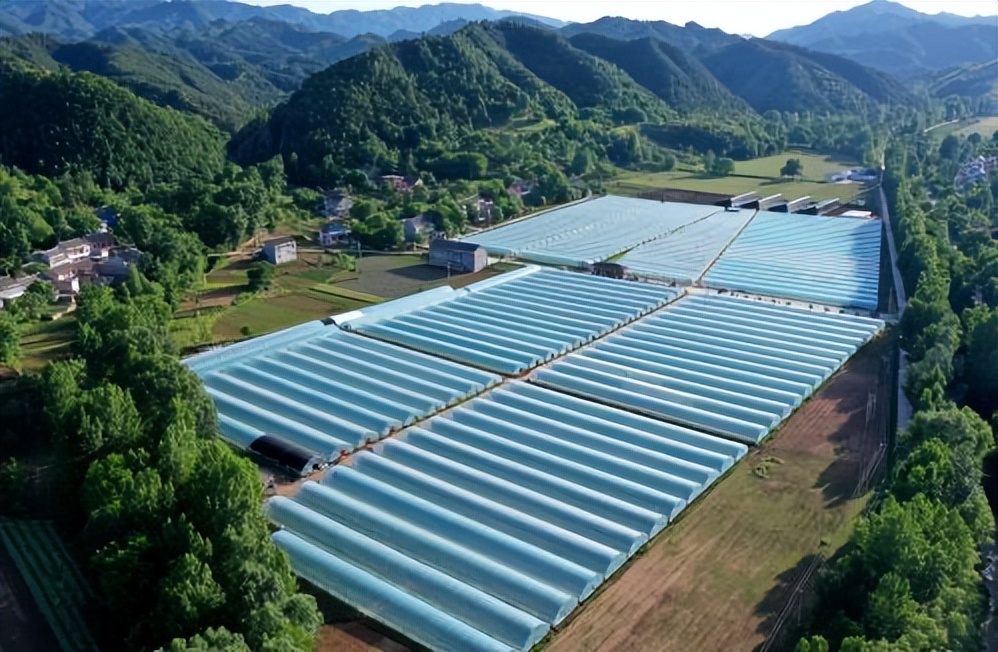 抓项目促发展专项行动推进会精神,稳增长促转型项目建设加压奋进