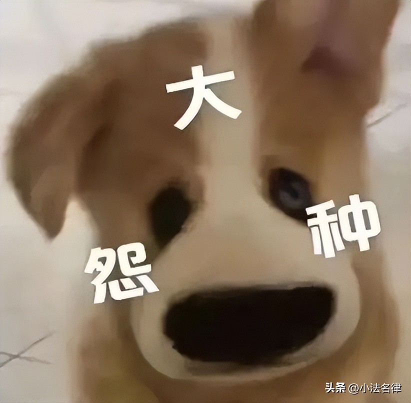 不请律师调查个人信息,不请律师可以查户籍吗