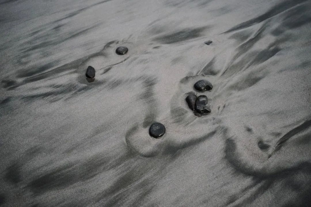 这可能是全球性价比最高的一家阿丽拉