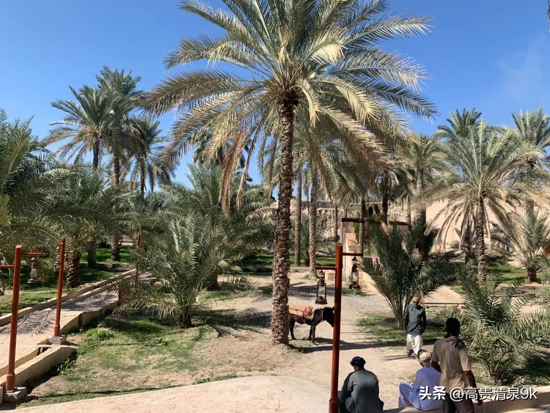 旅行盘点全球最奢侈最冒险的旅行,自驾环游世界最穷的国家