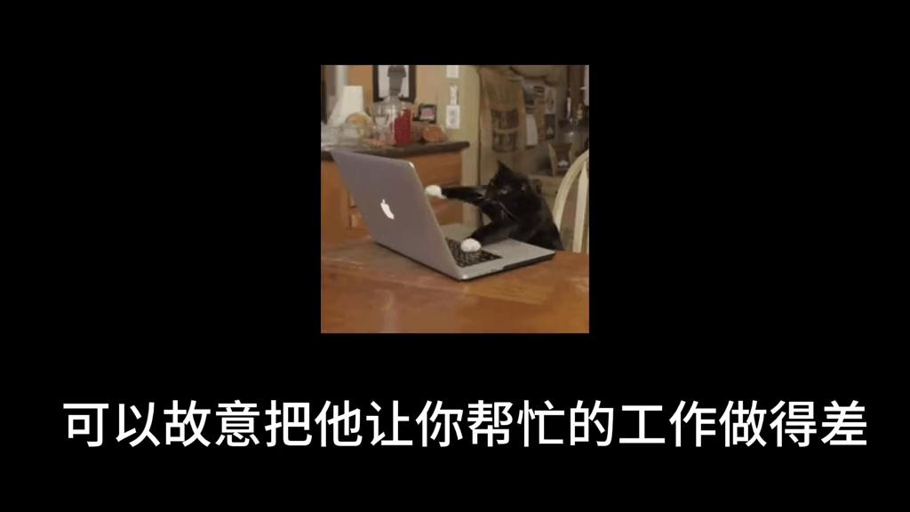 作为年轻教师应该如何处理自己的在校人际关系，很通透了。