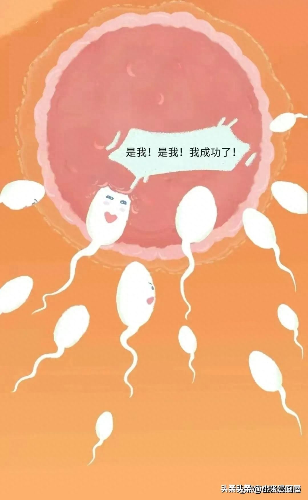 小蝌蚪找妈妈故事完整漫画,漫画中小蝌蚪是什么