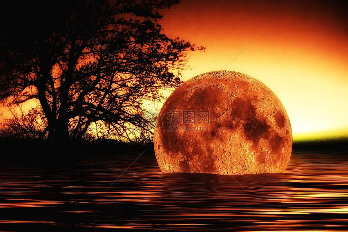 水中的月亮是什么,水中的月亮