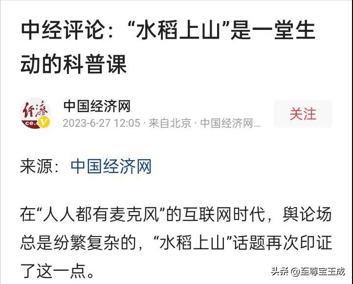 专家回应水稻上山的问题,水稻上山为什么引起这么大争议呢