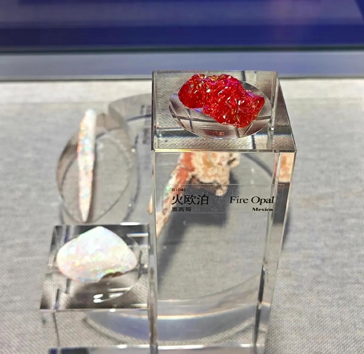 中国地质博物馆藏宝图,国家地质博物馆藏品