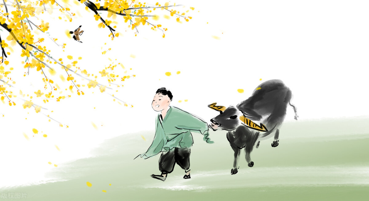 今年立春打黄春是什么意思,今年立春有哪三个不一般