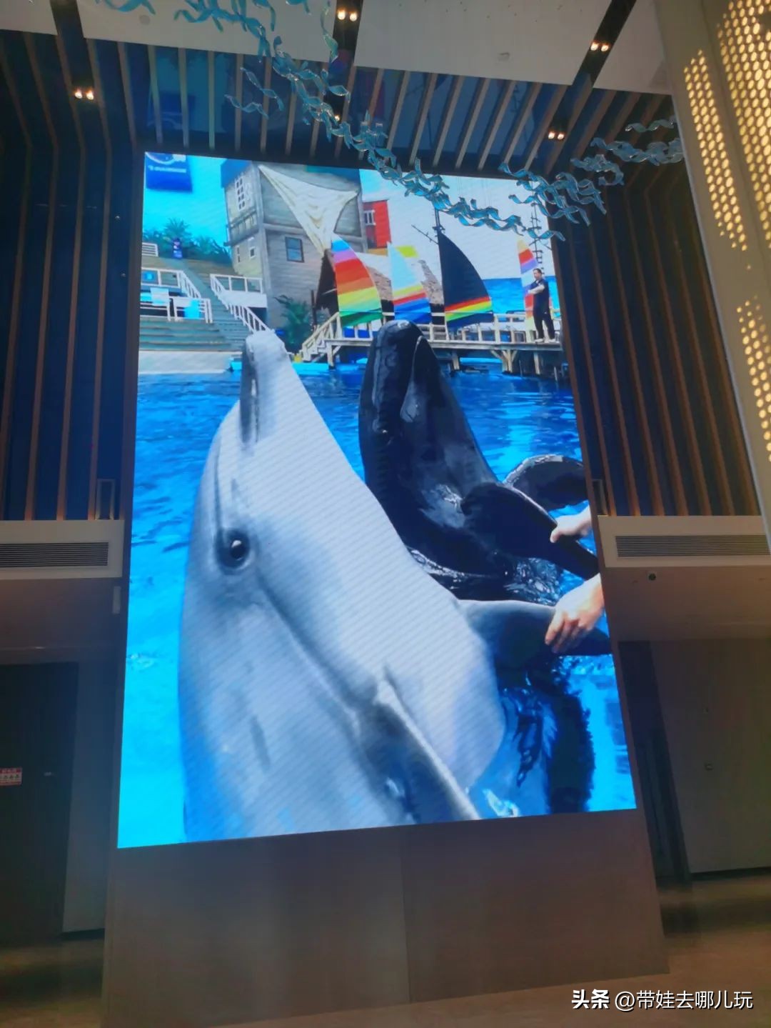 天津滨海海景亲子酒店,天津离滨海外滩近的酒店推荐