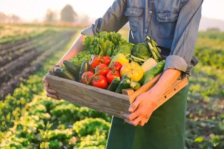 五大风口行业,未来10年最赚钱的9大风口行业