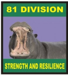 尼日利亚货币标识,尼日利亚军代表