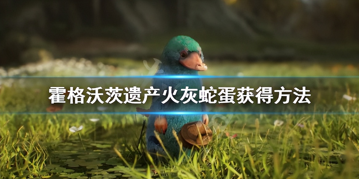 霍格沃茨火灰蛇蛋怎么获得,霍格沃茨遗产火灰蛇蛋在哪收集