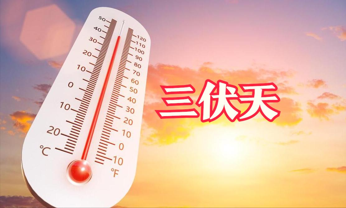 夏至数伏从哪天开始,6月21日11时32分迎来夏至节气