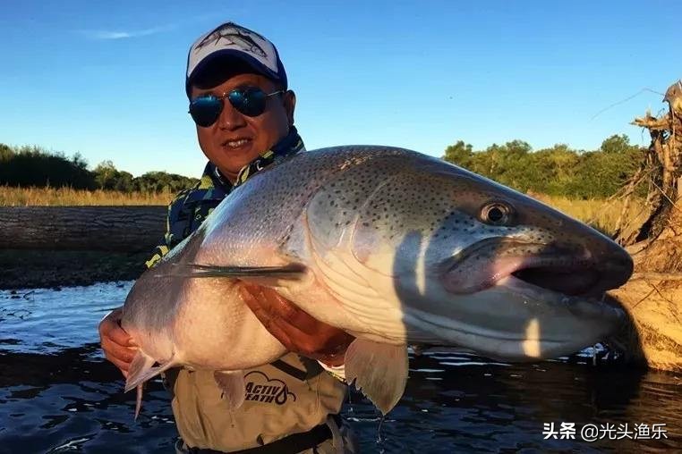 中国十大淡水巨型鱼,全球体型最大的十大淡水鱼类排行