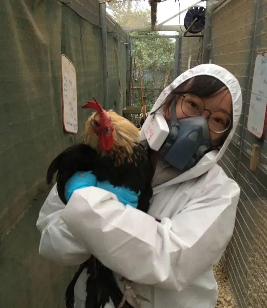 我，90后，女博士，研究105种动物“*行为性**”