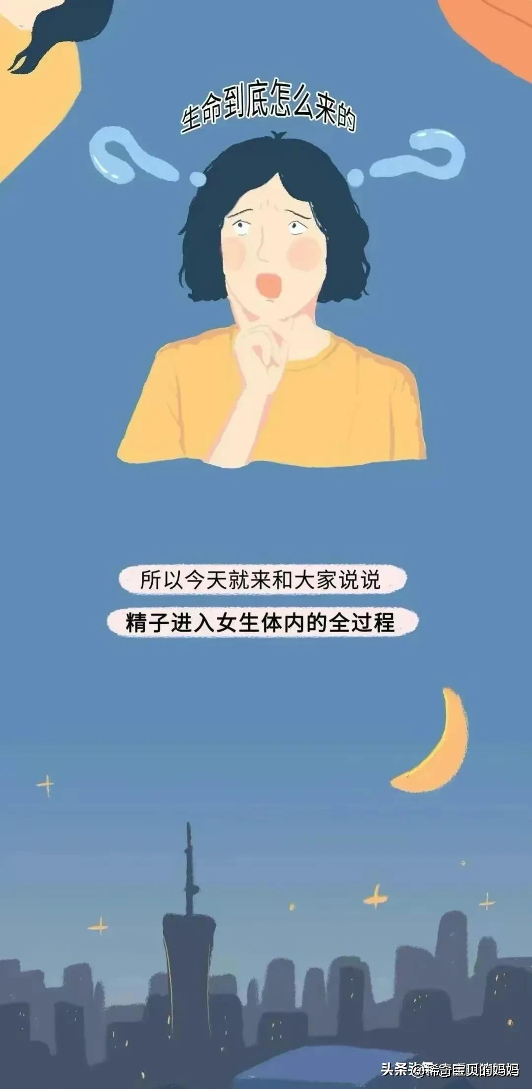 科普知识小蝌蚪怎么成长为青蛙,小蝌蚪动画的成长过程