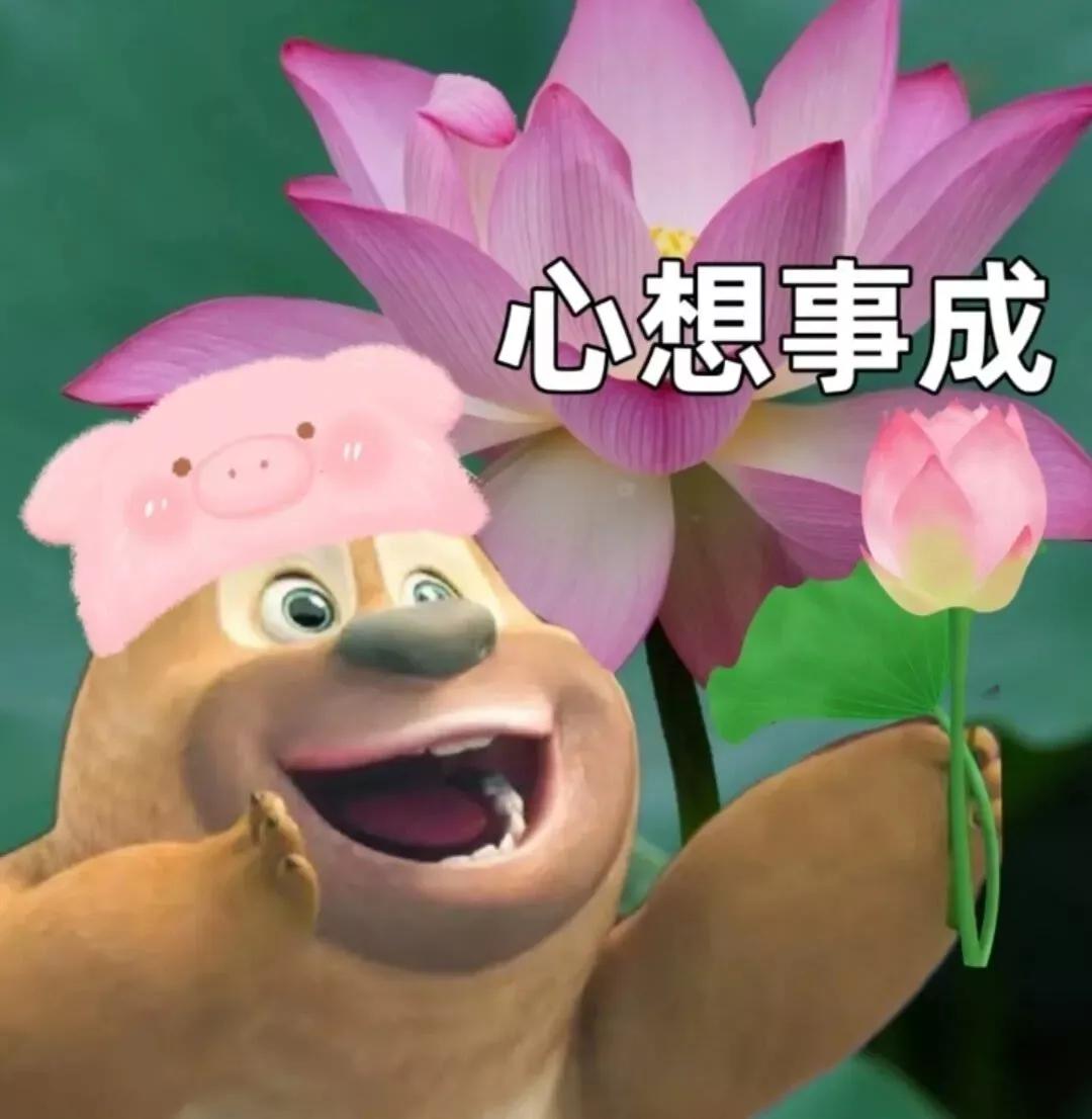 熊熊姐姐做手账,熊熊姐姐公园视频