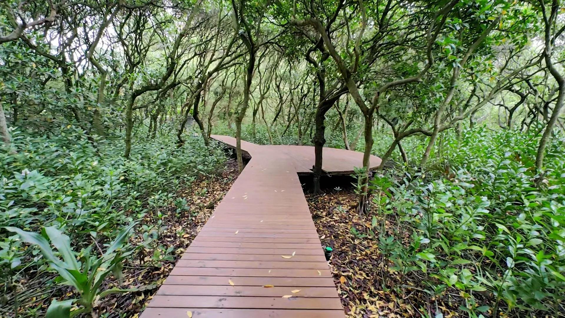 广东内伶仃岛福田国家级自然保护区,内伶仃岛福田自然保护区旅游