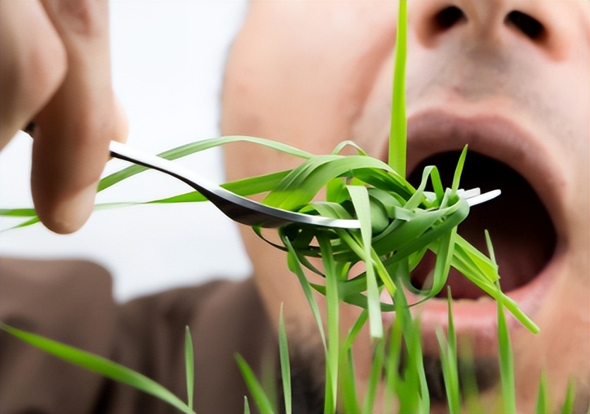 龚清孝：吃草上瘾得以赚钱娶媳妇，34年吃了40吨草：我就喜欢吃草