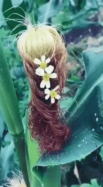 改作业的东西取不出来怎么办,改作业时油溅在作业上