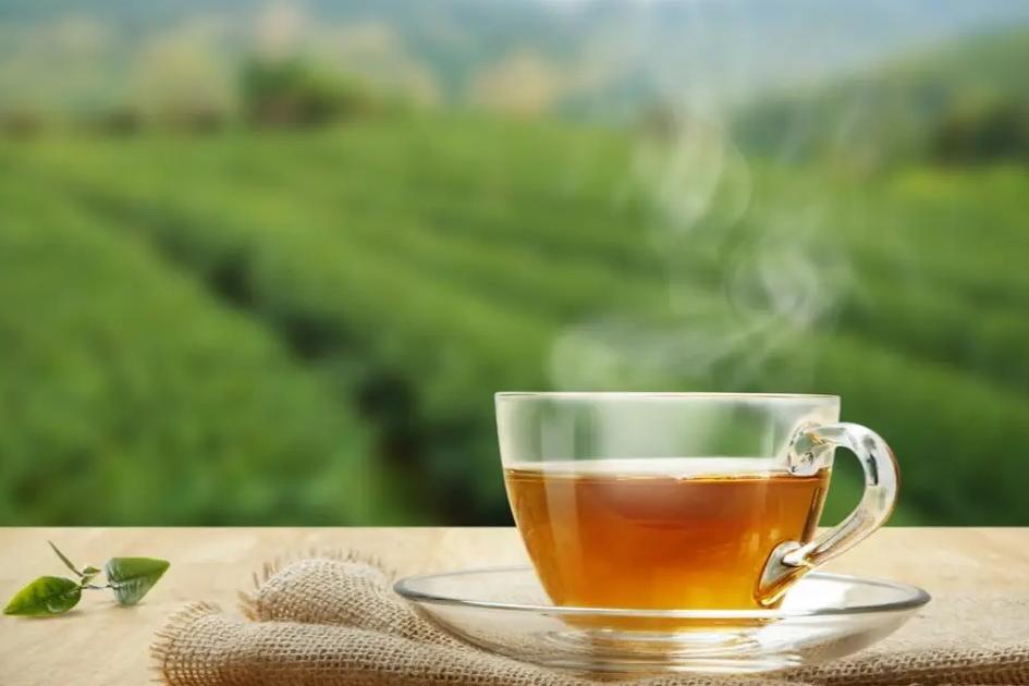 爱喝菊花茶但是菊花寒凉怎么解决,爱喝茶的六大妙法