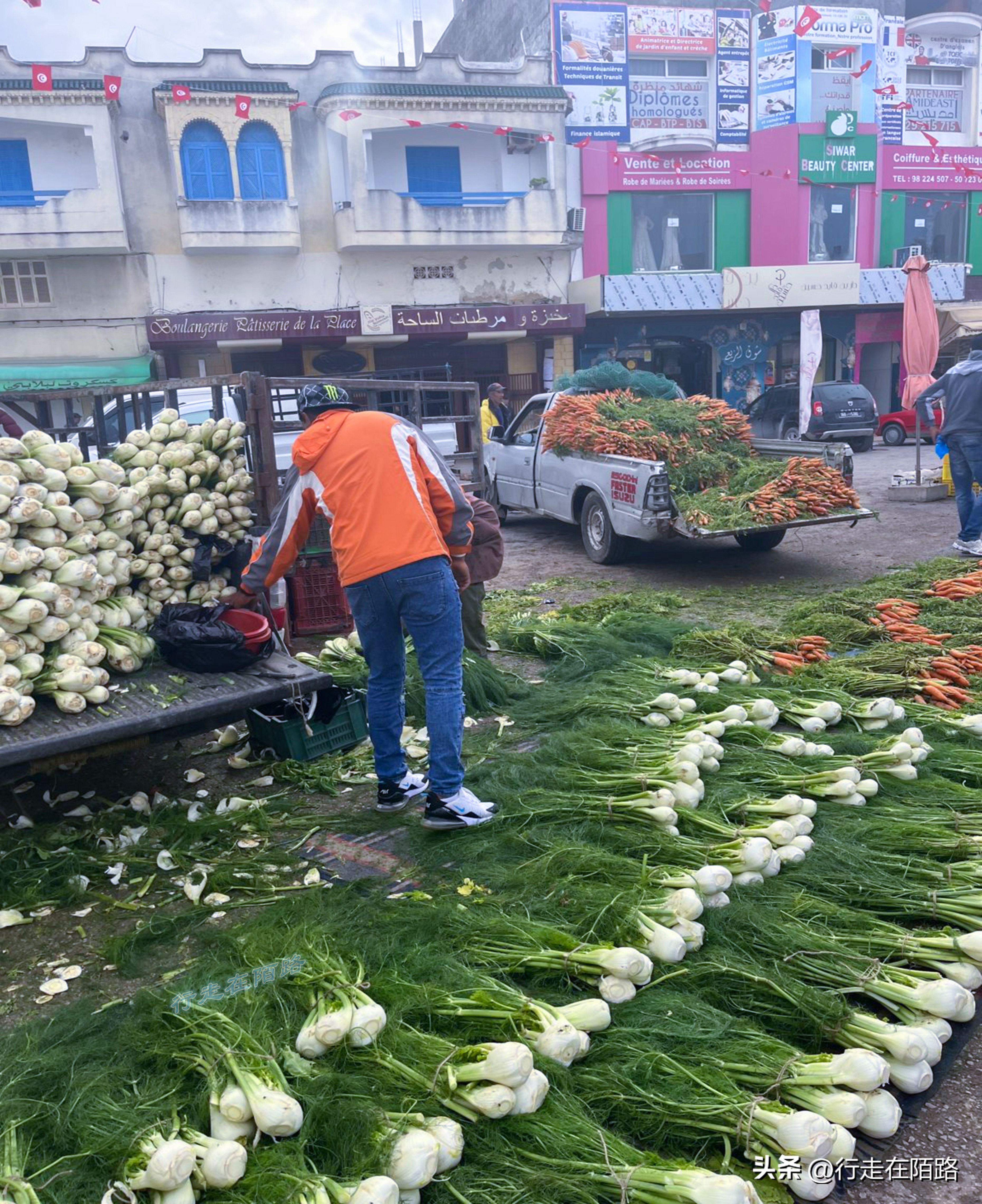 非洲突尼斯：不太一样的穆斯林国家，面积小人口少物价低
