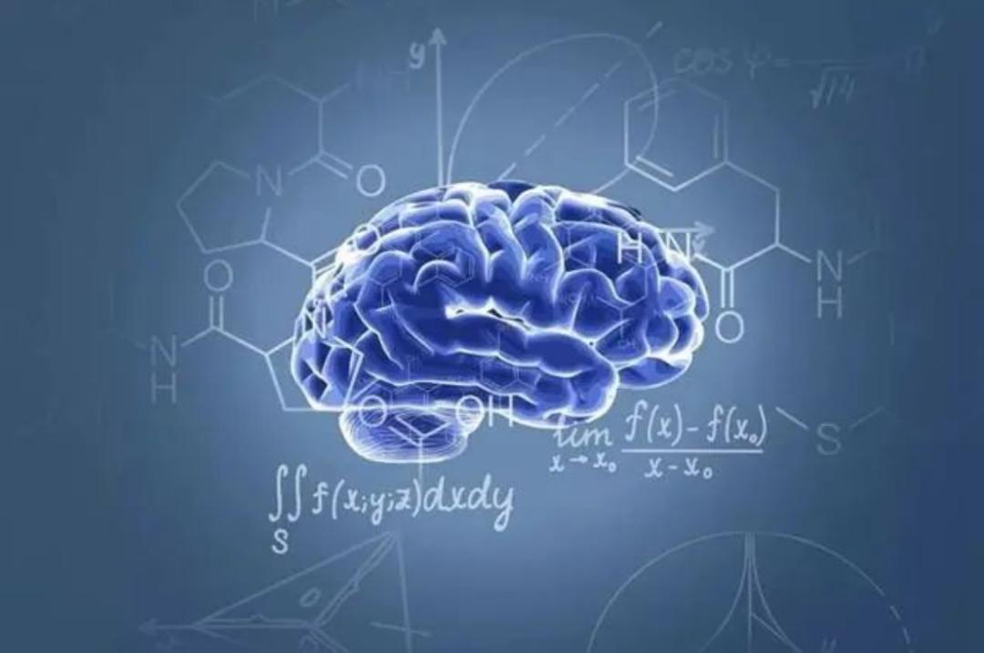 人类的大脑到底有多强大,人类的大脑是多少g的内存