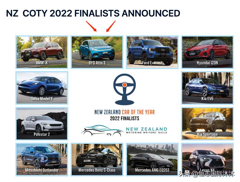 新西兰年度最佳电动汽车,中国汽车新西兰