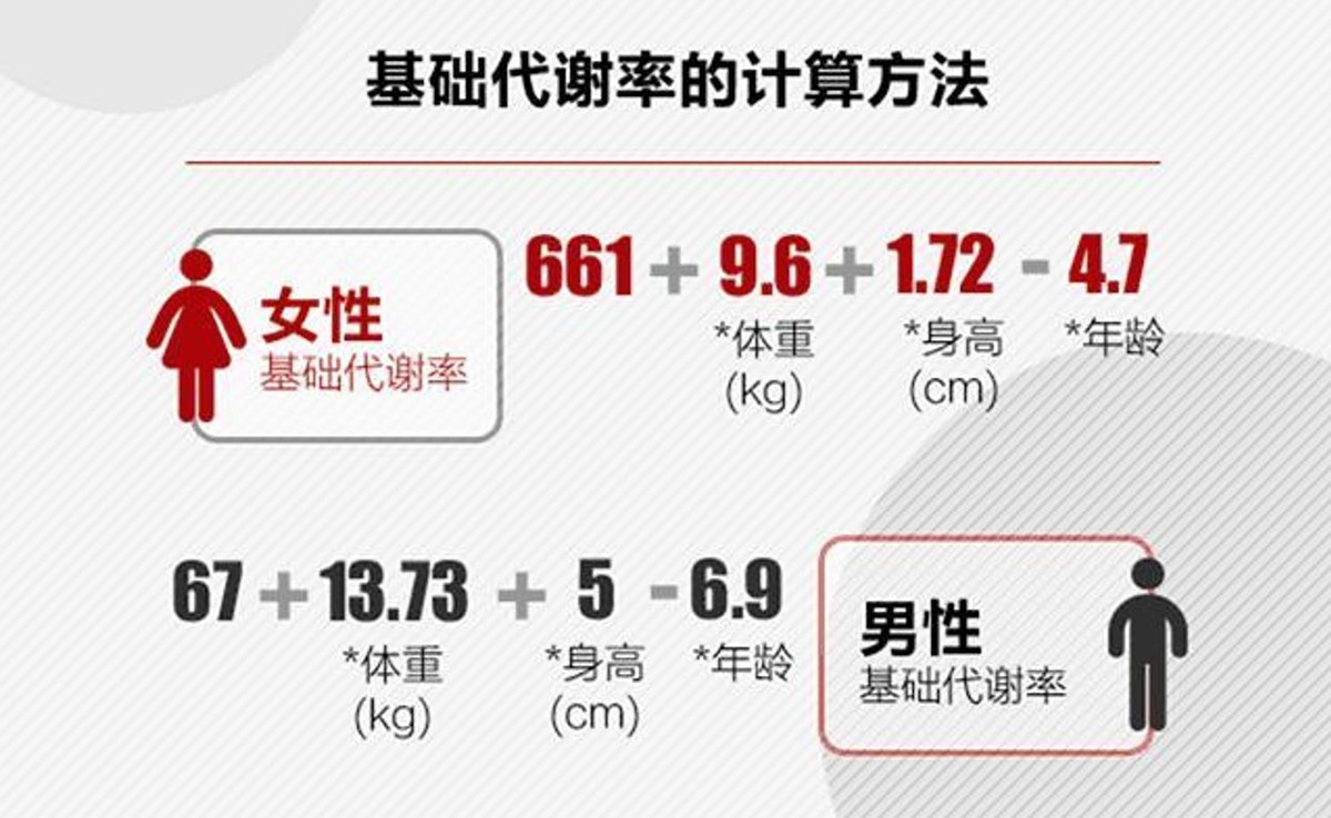 一天只吃一顿饭怎么提高代谢,每天一顿饭会降低代谢吗