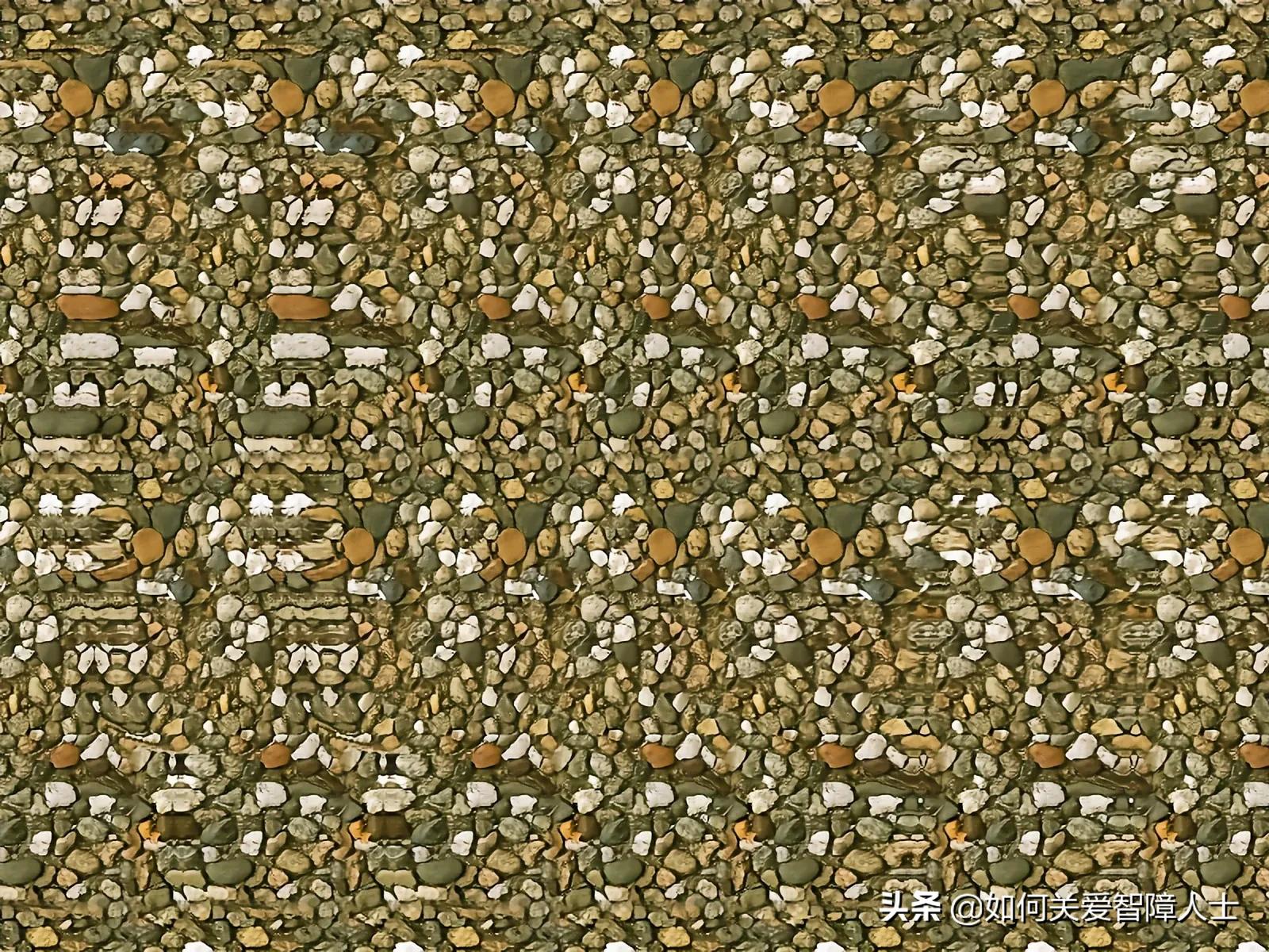 新手怎么看三维立体图,新手看三维立体图的方法