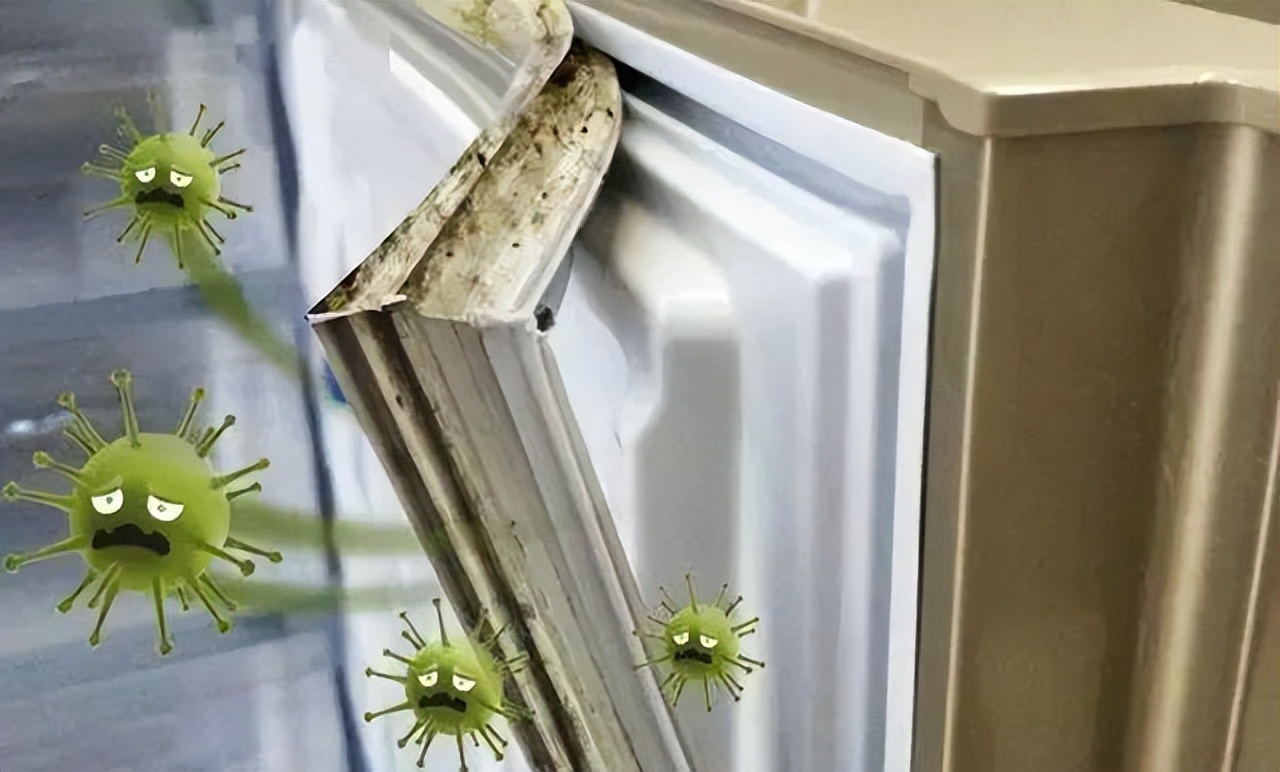 冰箱封条发霉能用除霉剂吗,冰箱封条发霉了用什么小妙招
