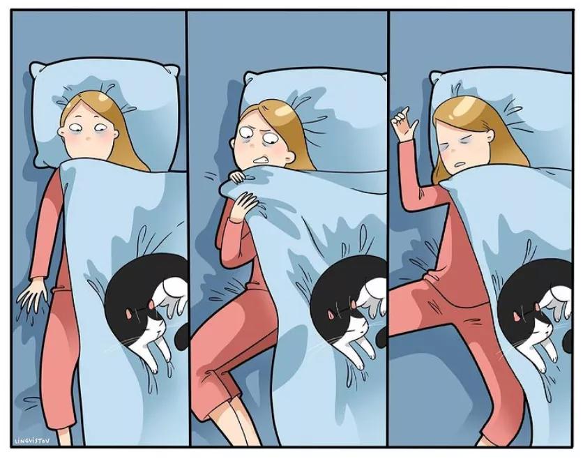 喵星人的那些事儿铲屎官漫画,猫咪铲屎官日常漫图