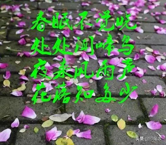 股市早八点最新消息,股市行情下跌惊魂